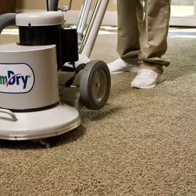 carpet cleaning in cary nc