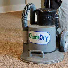 professional carpet cleaning in wake forest, nc