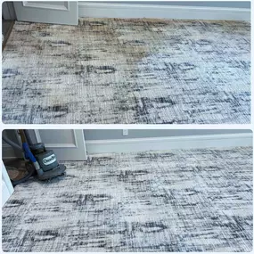 professional carpet cleaning in raleigh nc