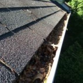 Gutter Cleaning Services