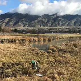 wetland delineation provo ut