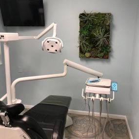 Bild von Carrollwood Village Dental: Richard Mancuso, DMD