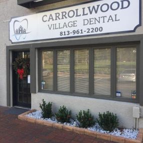 Bild von Carrollwood Village Dental: Richard Mancuso, DMD