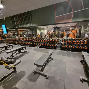 Bild von Basic-Fit