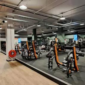 Basic-Fit Maarssen Bisonspoor 24/7 - free weight zone