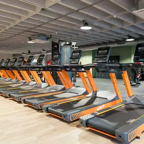 Bild von Basic-Fit 24/7