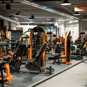 Bild von Basic-Fit 24/7