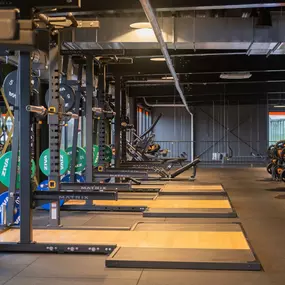 Basic-Fit Hardenberg Sportboulevard - free weight zone