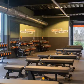 Basic-Fit Hardenberg Sportboulevard - free weight zone