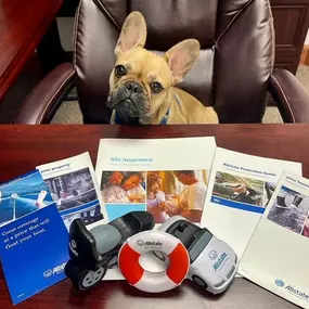 Bild von Michelle Liberta: Allstate Insurance