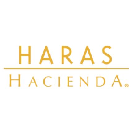 Λογότυπο από Haras Hacienda