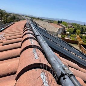 Bild von Top Elevation Roof Cleaning and Repair