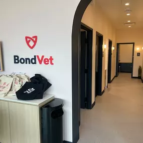 Bild von Bond Vet - Lynnfield