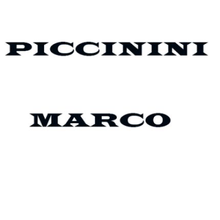 Logotyp från Piccinini Marco