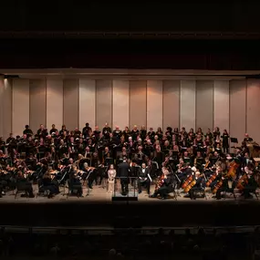 Bild von Wichita Falls Symphony Orchestra - WFSO