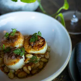 Pan Seared Scallops