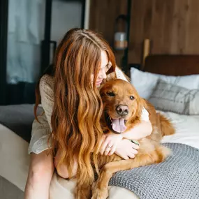 Pet Friendly Hotel