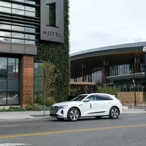 Electric Audi House Car