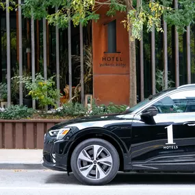 Electric Audi House Car