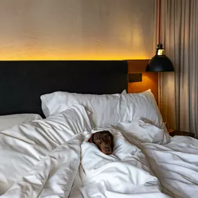 Dog Friendly London Hotel