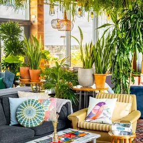 The Nest Rooftop Bar