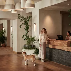 Pet Friendly Hotel Front Lobby