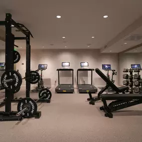 Weights and Cardio Equipment