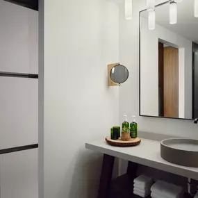 Suite Bathroom