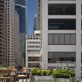 Chef's Rooftop Garden
