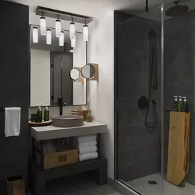 Rain Shower & Vanity