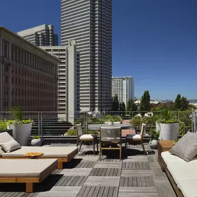 Terrace Studio Suite