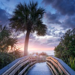 Bild von Palmetto Dunes Oceanfront Resort