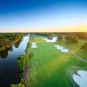 Bild von Palmetto Dunes Oceanfront Resort