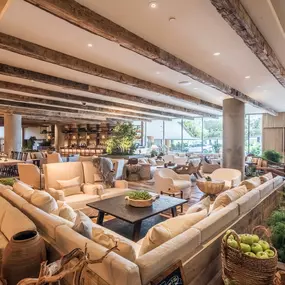 Indoor Lounge Seating