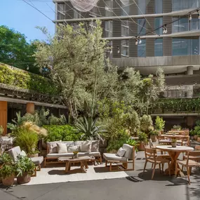 Outdoor Lounge Seating