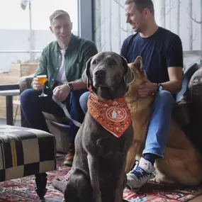 The Nest is a dog friendly London bar.