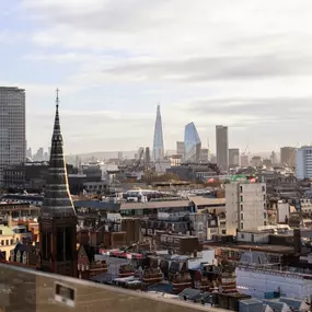 The Nest Rooftop Bar London Skyline View