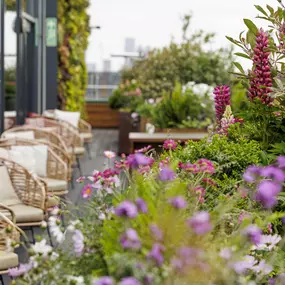 Rooftop Bar