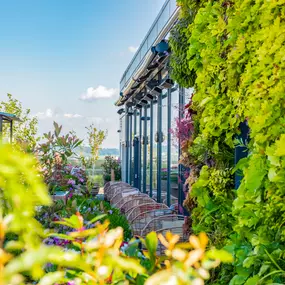 Summer Terrace