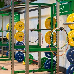 Gym Squat Racks