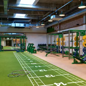 The Playground Gym