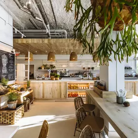 Plnthouse Plant Based Restaurant