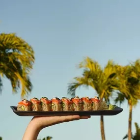 Sushi Rolls