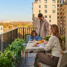 Terrace View of Central Park