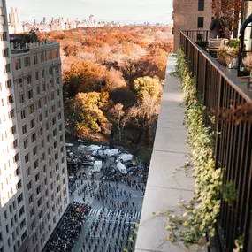 Thanksgiving Parade Terrace View