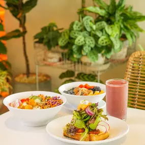 Plnthouse Plant-Based Food