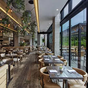 Indoor and Outdoor Dining