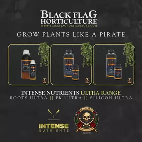 Bild von Black Flag Horticulture