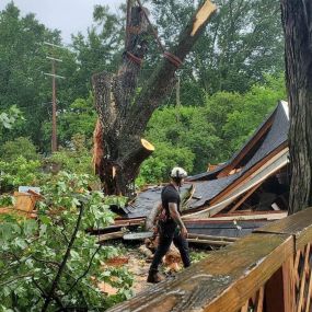 Crane removal of fallen tree removal on garage in Fenton, MI