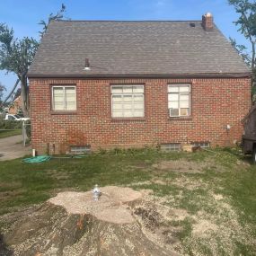 After Emergency Tree Service remove fallen tree on a building in Waterford, MI